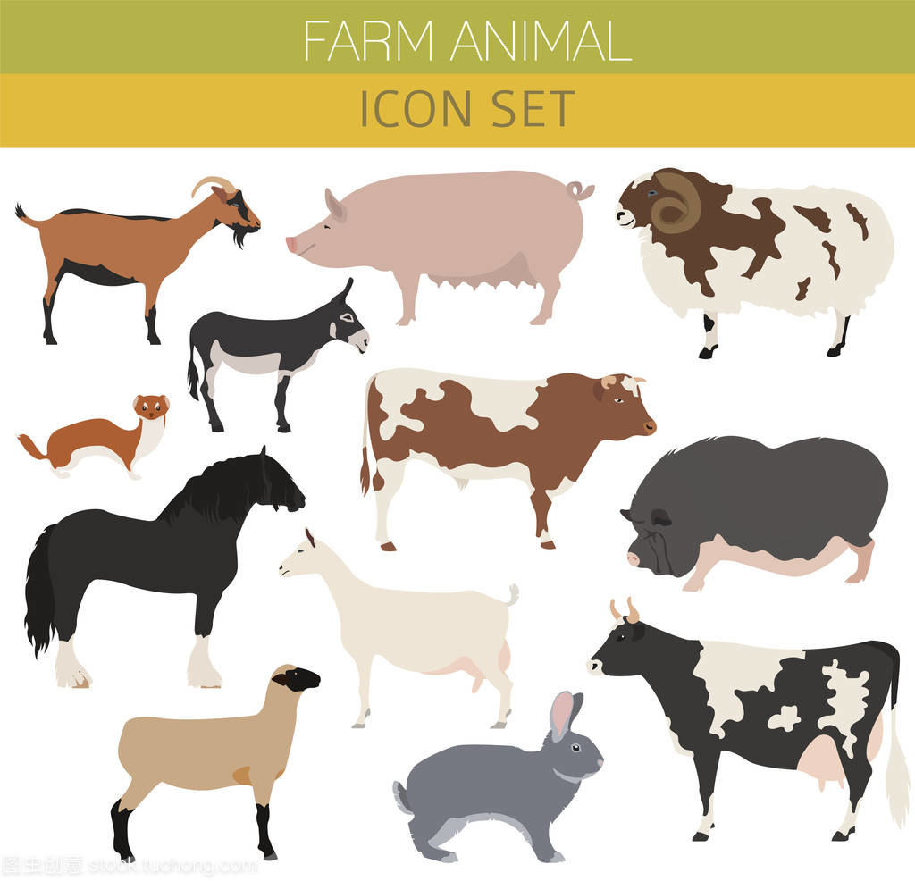 饲养牲畜的动物。牛、 猪、 山羊、 船舶、 马、 东凯